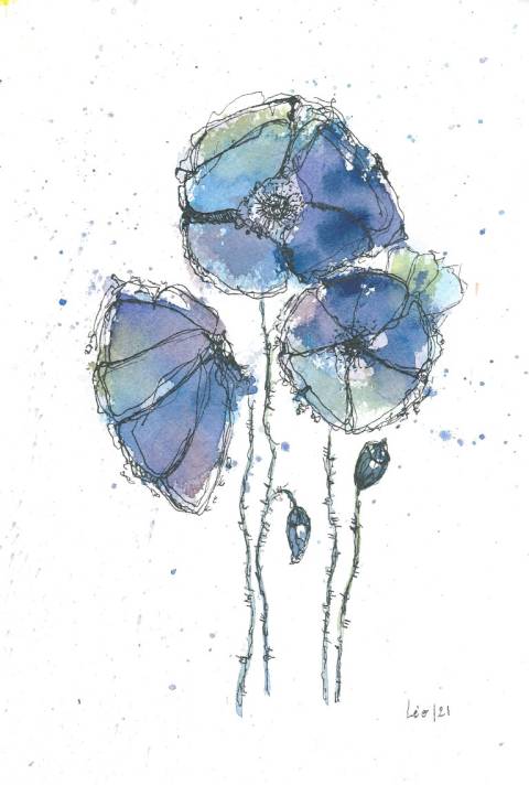 Blue poppys 2